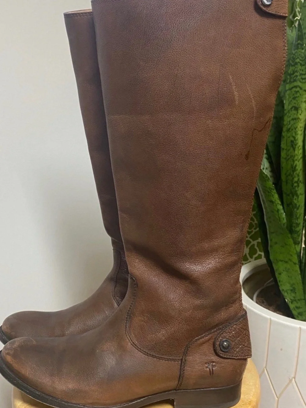 Frye Melissa Back Zip Boot